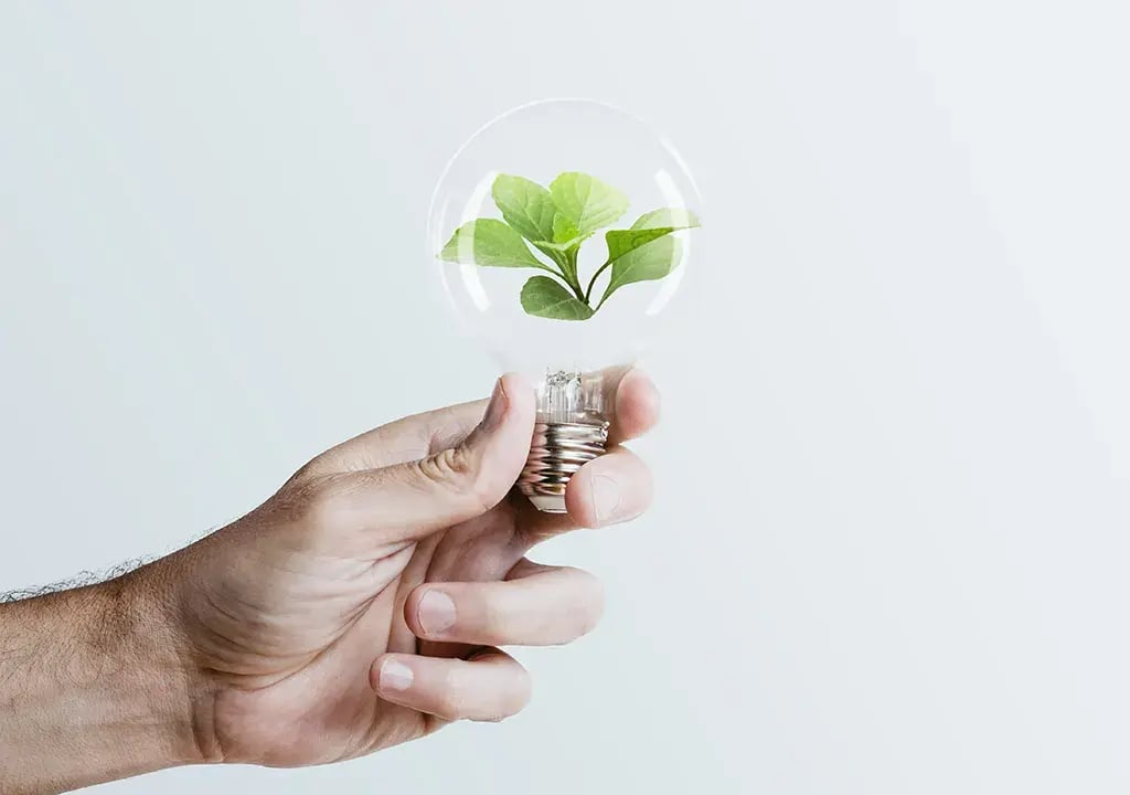 energia-sustentavel-vantagens-da-geracao-distribuida