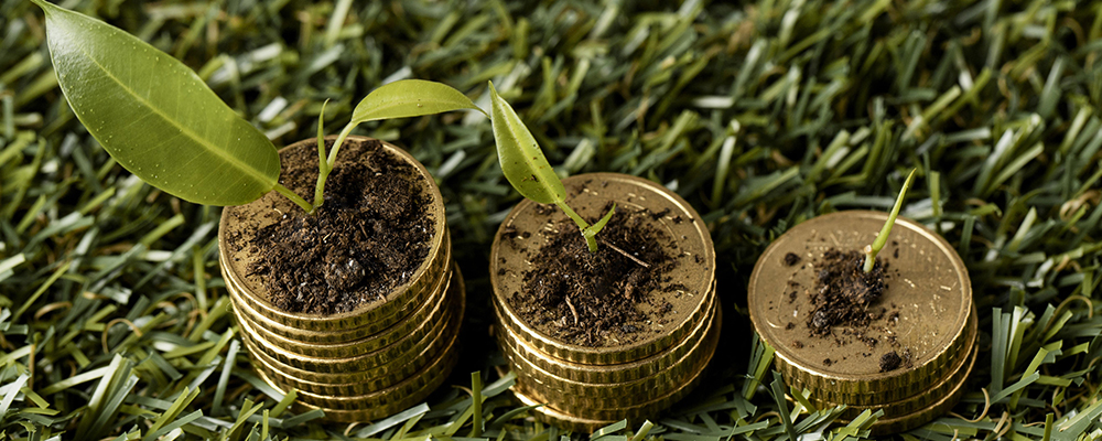 banner-descarbonizacao